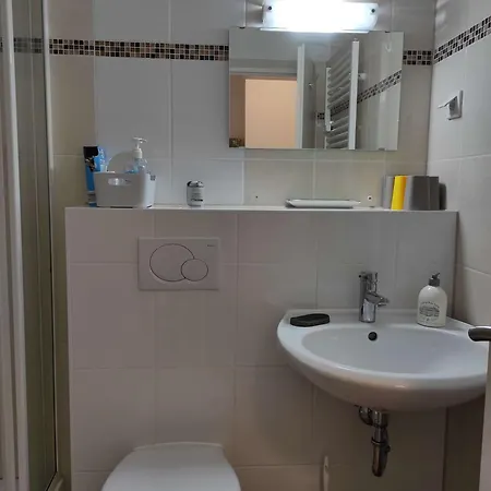 Waldwiese Bad Harzburg