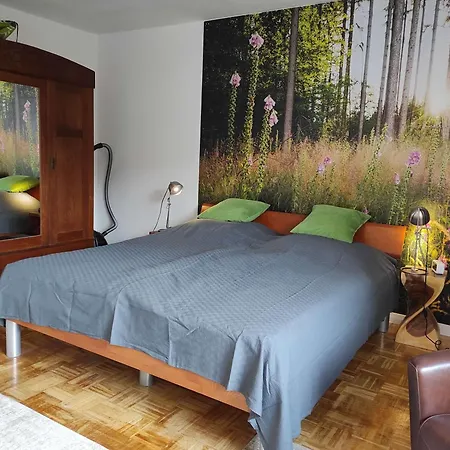 Waldwiese * Bad Harzburg